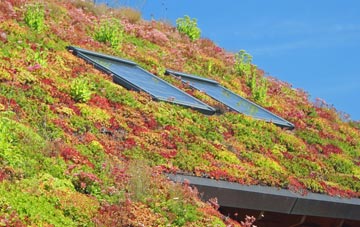 Sunton living roof systems