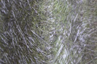 Sunton fibreglass roof work